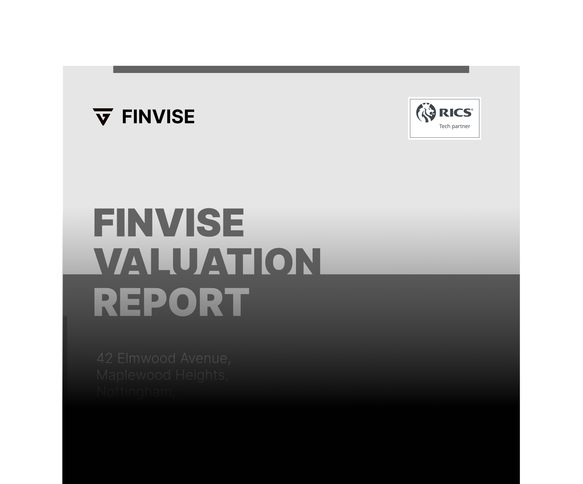 FINVISE report